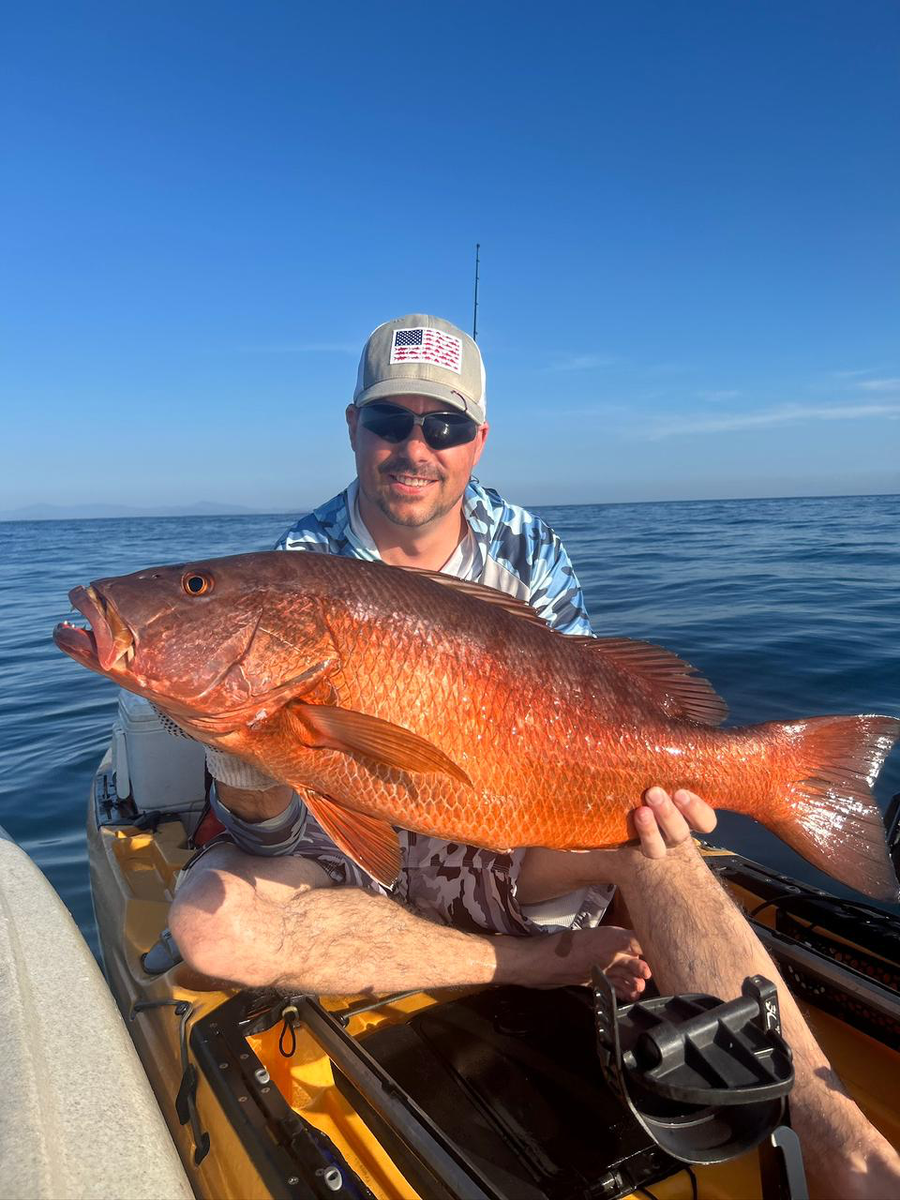 A saltwater angler reviewing a vivid red snapper catch